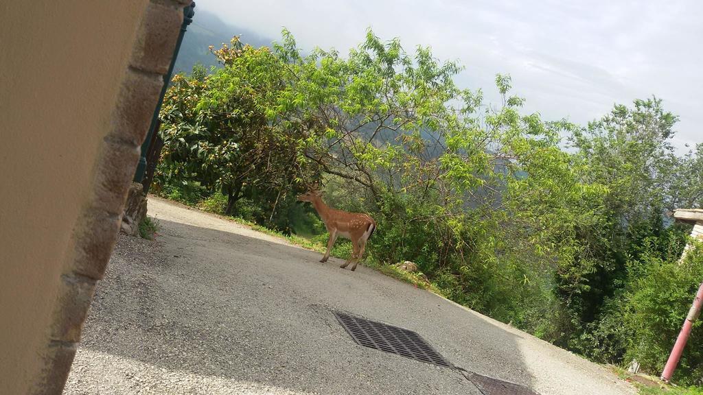 勒塞塔之家住宿加早餐旅馆 Valtopina 外观 照片