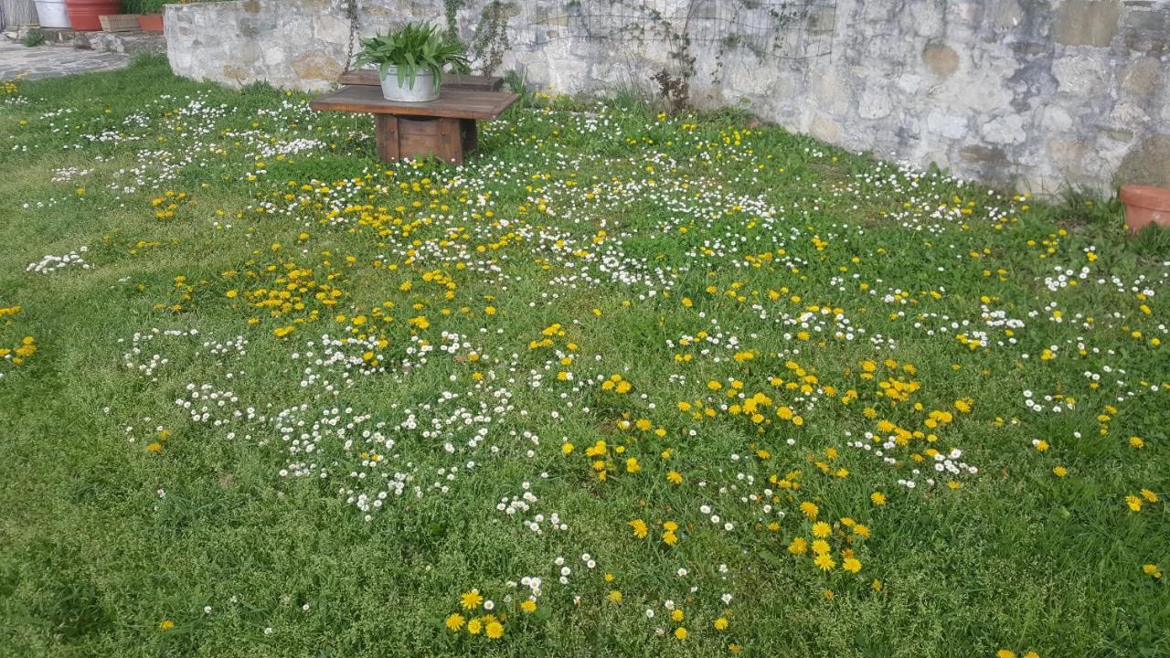 勒塞塔之家住宿加早餐旅馆 Valtopina 外观 照片