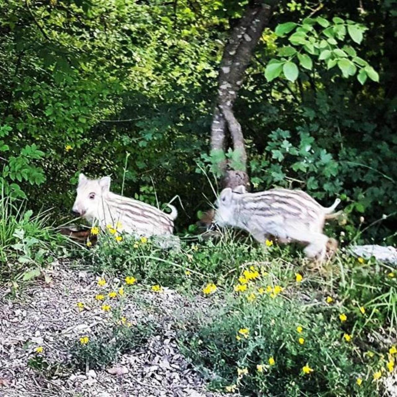 勒塞塔之家住宿加早餐旅馆 Valtopina 外观 照片